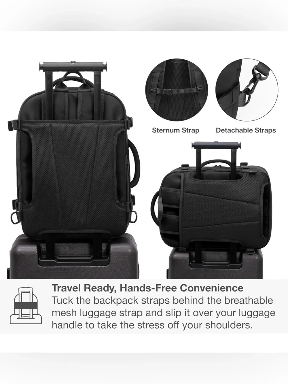 Traveler's Choice Markham 27L Backpack